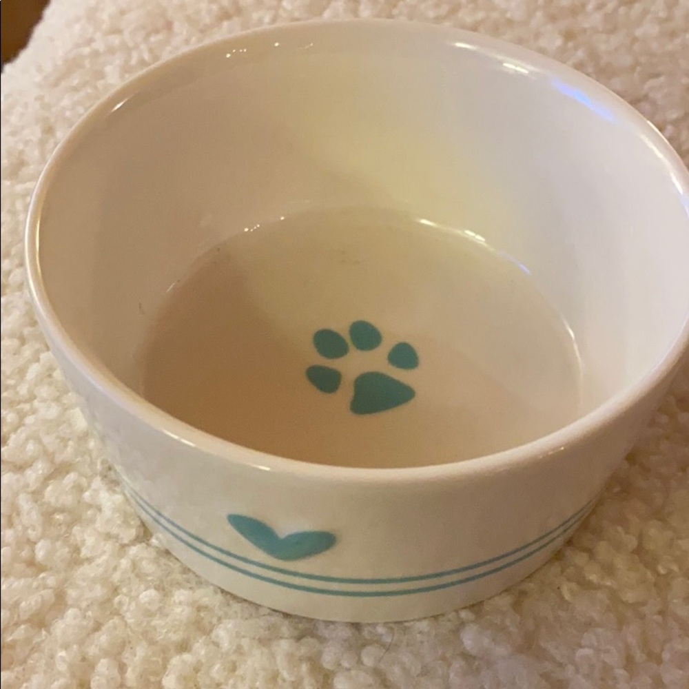 Adorable cat/dog NWOT feeding bowl